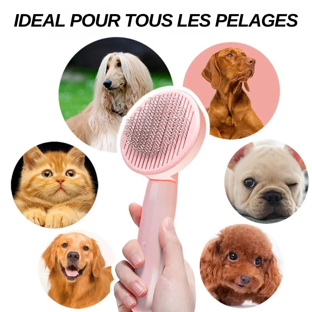 Cat Brush Pet Grooming Brush for Cats Remove Hairs Pet Cat Hair Remover Pets Hair Removal Comb Puppy Kitten Grooming Accessories